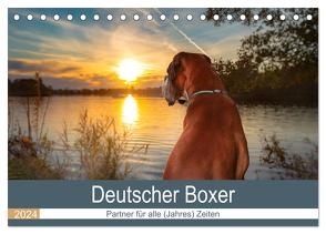 Deutscher Boxer (Tischkalender 2024 DIN A5 quer), CALVENDO Monatskalender von Mielke,  Kerstin
