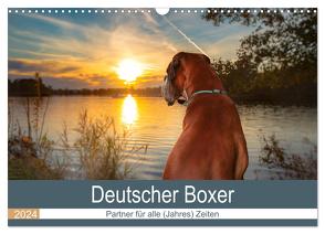 Deutscher Boxer (Wandkalender 2024 DIN A3 quer), CALVENDO Monatskalender von Mielke,  Kerstin