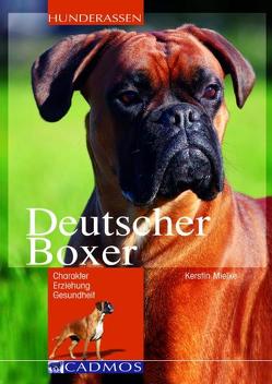 Deutscher Boxer von Mielke,  Kerstin