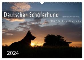 Deutscher Schäferhund / CH-Version (Wandkalender 2024 DIN A3 quer), CALVENDO Monatskalender von Schiller,  Petra
