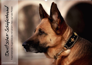Deutscher Schäferhund – Faszinierende Augenblicke mit einem Herz auf vier Pfoten (Wandkalender 2022 DIN A2 quer) von photoARTwithHEART