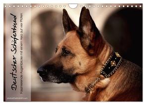 Deutscher Schäferhund – Faszinierende Augenblicke mit einem Herz auf vier Pfoten (Wandkalender 2024 DIN A4 quer), CALVENDO Monatskalender von photoARTwithHEART,  photoARTwithHEART