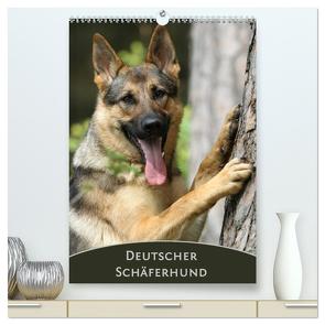Deutscher Schäferhund (hochwertiger Premium Wandkalender 2024 DIN A2 hoch), Kunstdruck in Hochglanz von Steininger,  Claudia