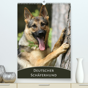 Deutscher Schäferhund (Premium, hochwertiger DIN A2 Wandkalender 2023, Kunstdruck in Hochglanz) von Steininger,  Claudia