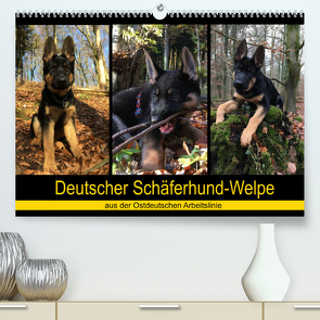 Deutscher Schäferhund-Welpe – aus der Ostdeutschen Arbeitslinie (Premium, hochwertiger DIN A2 Wandkalender 2022, Kunstdruck in Hochglanz) von Riedel,  Tanja