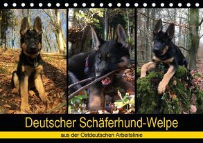 Deutscher Schäferhund-Welpe – aus der Ostdeutschen Arbeitslinie (Tischkalender 2019 DIN A5 quer) von Riedel,  Tanja