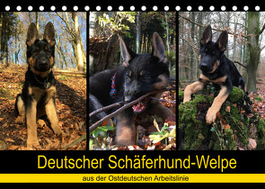 Deutscher Schäferhund-Welpe – aus der Ostdeutschen Arbeitslinie (Tischkalender 2022 DIN A5 quer) von Riedel,  Tanja