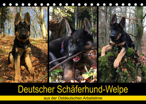 Deutscher Schäferhund-Welpe – aus der Ostdeutschen Arbeitslinie (Tischkalender 2023 DIN A5 quer) von Riedel,  Tanja