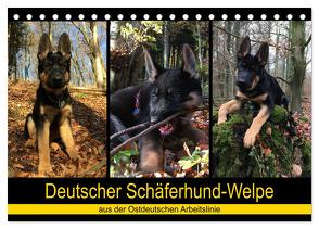 Deutscher Schäferhund-Welpe – aus der Ostdeutschen Arbeitslinie (Tischkalender 2024 DIN A5 quer), CALVENDO Monatskalender von Riedel,  Tanja