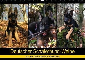 Deutscher Schäferhund-Welpe – aus der Ostdeutschen Arbeitslinie (Wandkalender 2018 DIN A2 quer) von Riedel,  Tanja