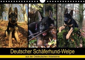 Deutscher Schäferhund-Welpe – aus der Ostdeutschen Arbeitslinie (Wandkalender 2018 DIN A4 quer) von Riedel,  Tanja