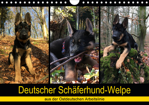 Deutscher Schäferhund-Welpe – aus der Ostdeutschen Arbeitslinie (Wandkalender 2020 DIN A4 quer) von Riedel,  Tanja