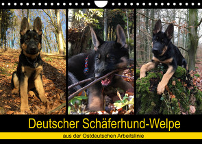 Deutscher Schäferhund-Welpe – aus der Ostdeutschen Arbeitslinie (Wandkalender 2022 DIN A4 quer) von Riedel,  Tanja