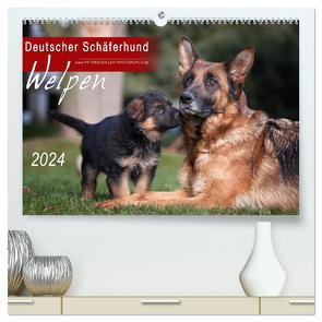 Deutscher Schäferhund – Welpen / CH-Version (hochwertiger Premium Wandkalender 2024 DIN A2 quer), Kunstdruck in Hochglanz von Schiller,  Petra