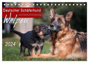 Deutscher Schäferhund – Welpen / CH-Version (Tischkalender 2024 DIN A5 quer), CALVENDO Monatskalender von Schiller,  Petra
