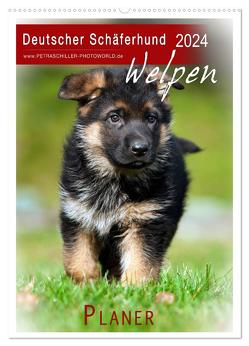 Deutscher Schäferhund – Welpen, Planer (Wandkalender 2024 DIN A2 hoch), CALVENDO Monatskalender von Schiller,  Petra