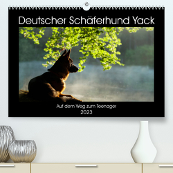 Deutscher Schäferhund Yack – Auf dem Weg zum Teenager (Premium, hochwertiger DIN A2 Wandkalender 2023, Kunstdruck in Hochglanz) von Schiller,  Petra