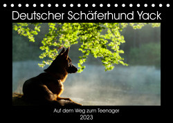 Deutscher Schäferhund Yack – Auf dem Weg zum Teenager (Tischkalender 2023 DIN A5 quer) von Schiller,  Petra