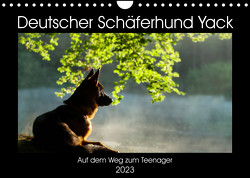Deutscher Schäferhund Yack – Auf dem Weg zum Teenager (Wandkalender 2023 DIN A4 quer) von Schiller,  Petra