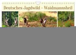 Deutsches Jagdwild – Waidmannsheil (Wandkalender 2024 DIN A4 quer), CALVENDO Monatskalender von Kleemann,  Claudia