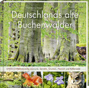 Deutschlands alte Buchenwälder von Engel,  Karl Heinz