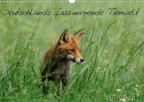 Deutschlands faszinierende Tierwelt (Posterbuch DIN A3 quer) von Schmalhofer,  Christian