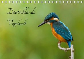 Deutschlands Vogelwelt (Tischkalender 2019 DIN A5 quer) von Honold,  Alexander
