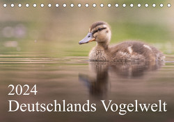 Deutschlands Vogelwelt (Tischkalender 2024 DIN A5 quer), CALVENDO Monatskalender von Wiechert,  Thies