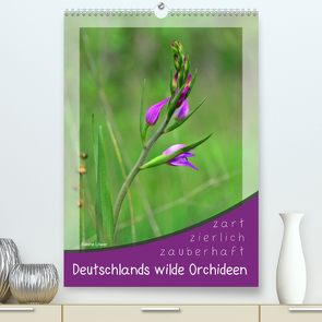 Deutschlands wilde Orchideen (Premium, hochwertiger DIN A2 Wandkalender 2023, Kunstdruck in Hochglanz) von Löwer,  Sabine