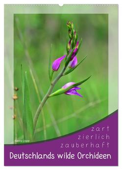 Deutschlands wilde Orchideen (Wandkalender 2024 DIN A2 hoch), CALVENDO Monatskalender von Löwer,  Sabine