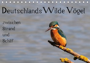 Deutschlands wilde Vögel zwischen Strand und Schilf (Tischkalender 2021 DIN A5 quer) von Lebeus,  Marvin