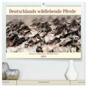 Deutschlands wildlebende Pferde (hochwertiger Premium Wandkalender 2024 DIN A2 quer), Kunstdruck in Hochglanz von René Grossmann,  Marcel