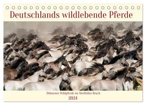 Deutschlands wildlebende Pferde (Tischkalender 2024 DIN A5 quer), CALVENDO Monatskalender von René Grossmann,  Marcel