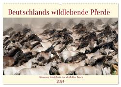Deutschlands wildlebende Pferde (Wandkalender 2024 DIN A2 quer), CALVENDO Monatskalender von René Grossmann,  Marcel