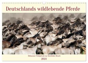 Deutschlands wildlebende Pferde (Wandkalender 2024 DIN A3 quer), CALVENDO Monatskalender von René Grossmann,  Marcel