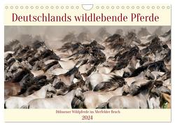 Deutschlands wildlebende Pferde (Wandkalender 2024 DIN A4 quer), CALVENDO Monatskalender von René Grossmann,  Marcel
