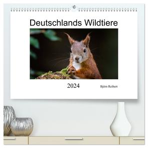 Deutschlands Wildtiere (hochwertiger Premium Wandkalender 2024 DIN A2 quer), Kunstdruck in Hochglanz von Reibert,  Björn
