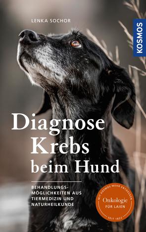 Diagnose Krebs beim Hund von Sochor,  Lenka