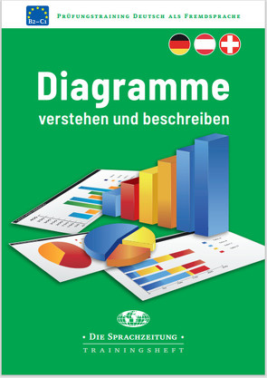 Diagramme verstehen und beschreiben von Gerhard,  Corinna