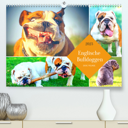 Dicke Freunde. Englische Bulldoggen (Premium, hochwertiger DIN A2 Wandkalender 2023, Kunstdruck in Hochglanz) von Hurley,  Rose