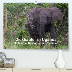 Dickhäuter in Uganda – Flußpferde, Nashörner und Elefanten (Premium, hochwertiger DIN A2 Wandkalender 2021, Kunstdruck in Hochglanz) von Helmut Gulbins,  Dr.