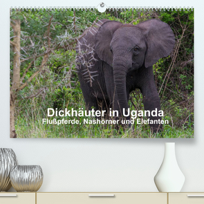 Dickhäuter in Uganda – Flußpferde, Nashörner und Elefanten (Premium, hochwertiger DIN A2 Wandkalender 2022, Kunstdruck in Hochglanz) von Helmut Gulbins,  Dr.