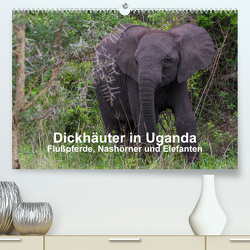 Dickhäuter in Uganda – Flußpferde, Nashörner und Elefanten (Premium, hochwertiger DIN A2 Wandkalender 2023, Kunstdruck in Hochglanz) von Helmut Gulbins,  Dr.