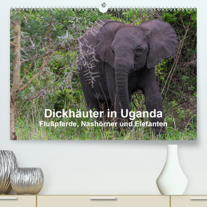 Dickhäuter in Uganda – Flußpferde, Nashörner und Elefanten (Premium, hochwertiger DIN A2 Wandkalender 2020, Kunstdruck in Hochglanz) von Helmut Gulbins,  Dr.