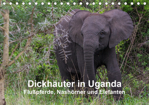Dickhäuter in Uganda – Flußpferde, Nashörner und Elefanten (Tischkalender 2021 DIN A5 quer) von Helmut Gulbins,  Dr.