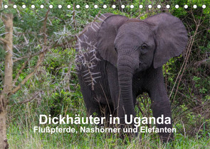 Dickhäuter in Uganda – Flußpferde, Nashörner und Elefanten (Tischkalender 2023 DIN A5 quer) von Helmut Gulbins,  Dr.