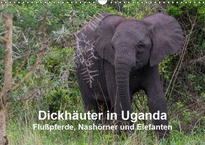 Dickhäuter in Uganda – Flußpferde, Nashörner und Elefanten (Wandkalender 2019 DIN A3 quer) von Helmut Gulbins,  Dr.
