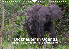 Dickhäuter in Uganda – Flußpferde, Nashörner und Elefanten (Wandkalender 2022 DIN A4 quer) von Helmut Gulbins,  Dr.