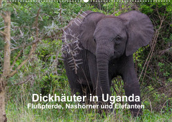 Dickhäuter in Uganda – Flußpferde, Nashörner und Elefanten (Wandkalender 2023 DIN A2 quer) von Helmut Gulbins,  Dr.