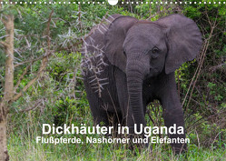 Dickhäuter in Uganda – Flußpferde, Nashörner und Elefanten (Wandkalender 2023 DIN A3 quer) von Helmut Gulbins,  Dr.